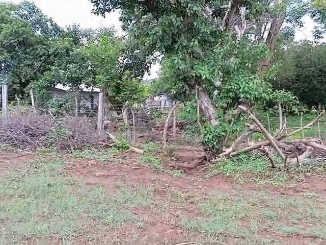 #2 - Área para Venta en San Miguel - San Miguel