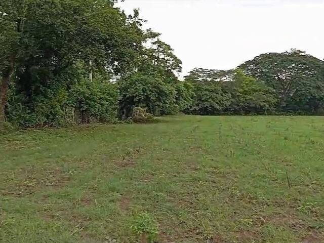 #2 - Área para Venta en San Miguel - San Miguel