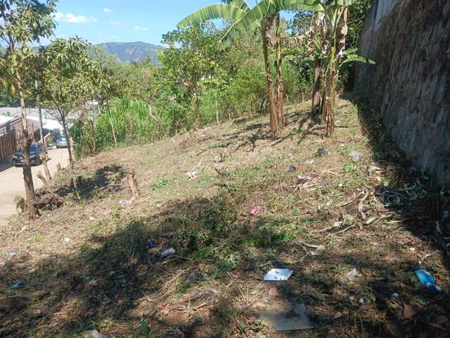 #4 - Área para Venta en Jucuapa - Usulatán