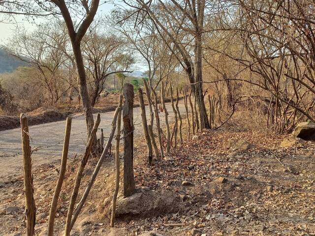 #6 - Área para Venta en San Alejo - La Unión