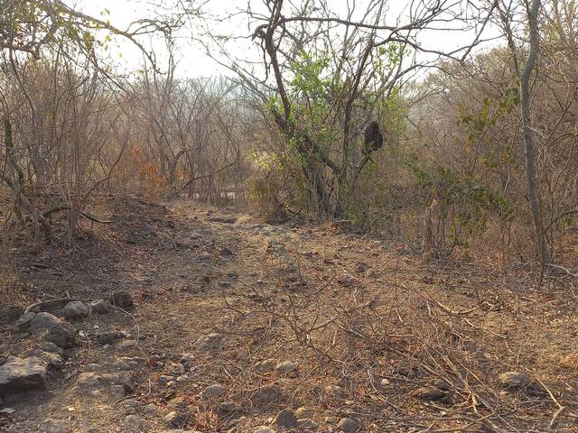 #6 - Área para Venta en San Alejo - La Unión