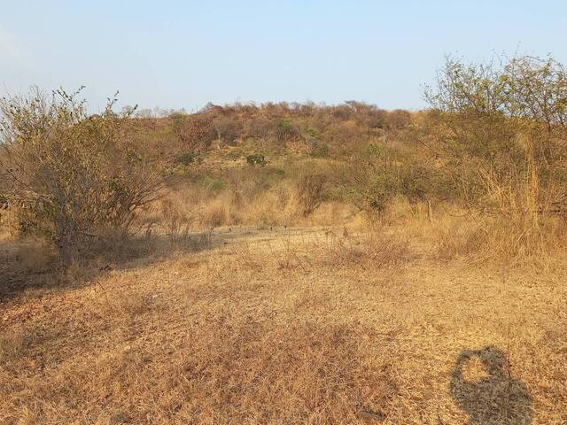 #6 - Área para Venta en San Alejo - La Unión