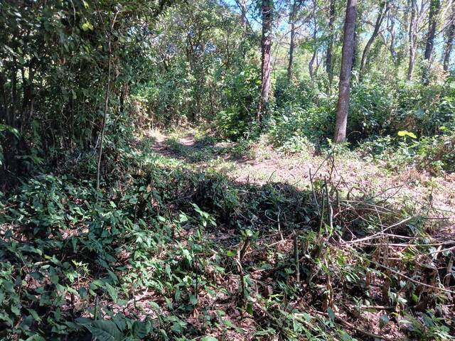 #7 - Área para Venta en Chinameca - San Miguel