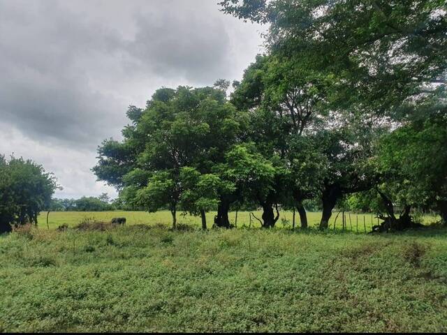 #8 - Área para Venta en Usulután - Usulatán