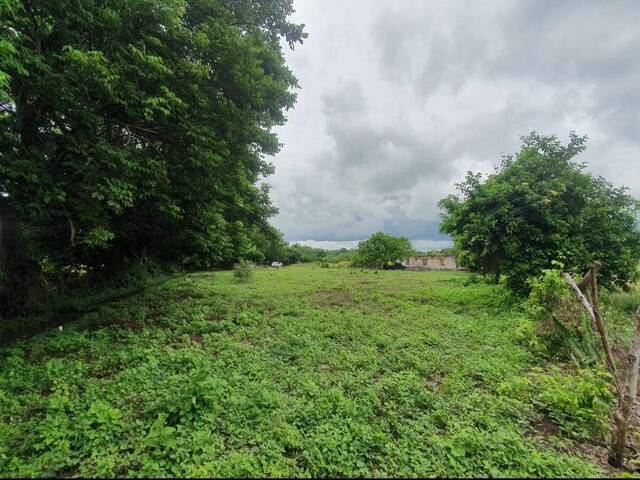 #8 - Área para Venta en Usulután - Usulatán