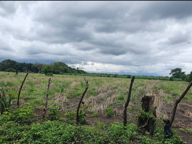 #8 - Área para Venta en Usulután - Usulatán