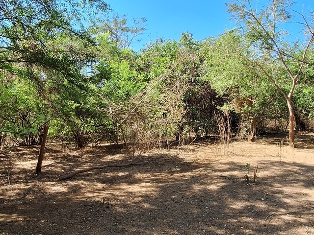 #13 - Área para Venta en Usulután - Usulatán