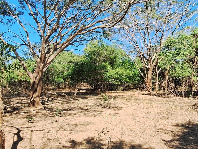 #13 - Área para Venta en Usulután - Usulatán