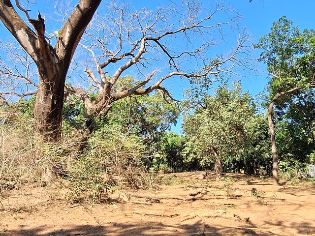 #13 - Área para Venta en Usulután - Usulatán